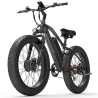 Vélo éléctrique Urban Premium